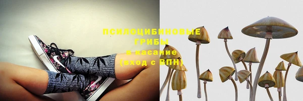 круглые Вяземский