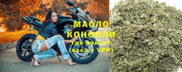 гашик Верея