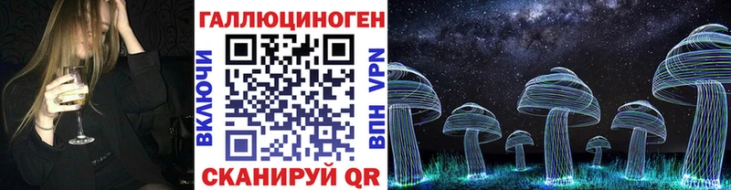 где купить   Егорьевск  mega вход  Псилоцибиновые грибы мухоморы 